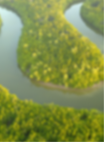 Environmental