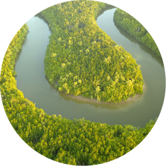Environmental
