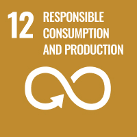 sdg-12.jpg