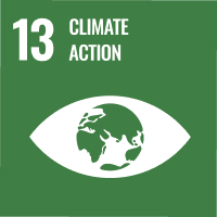 sdg-13.jpg