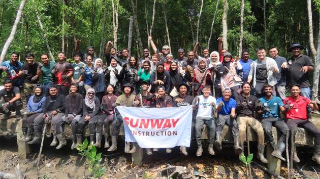 mangrove-2
